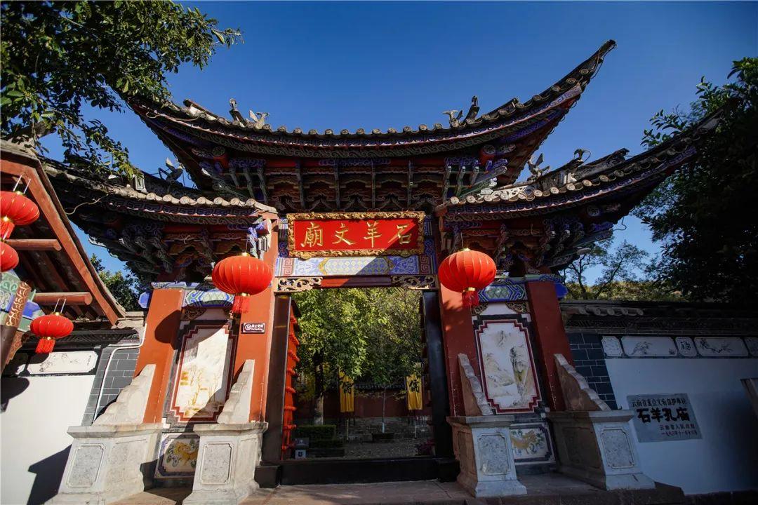 救援受困的老虎
